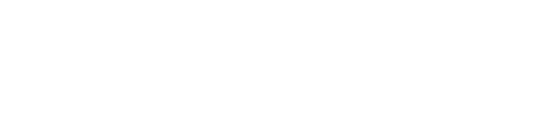 Link Icon