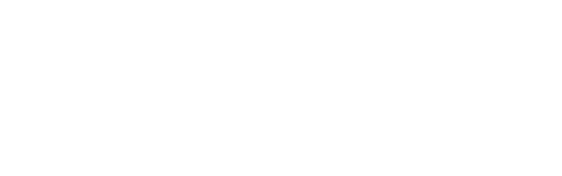 Link Icon