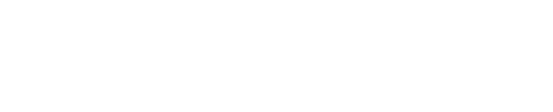 Link Icon